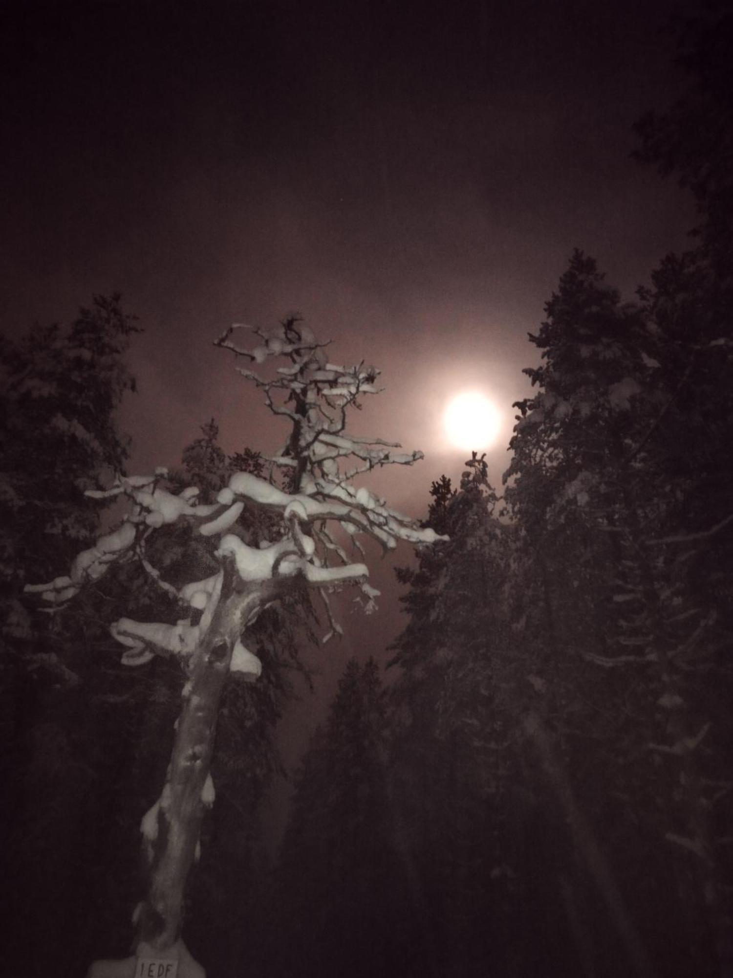 Vihreae Helmi Villa Kuusamo Luaran gambar