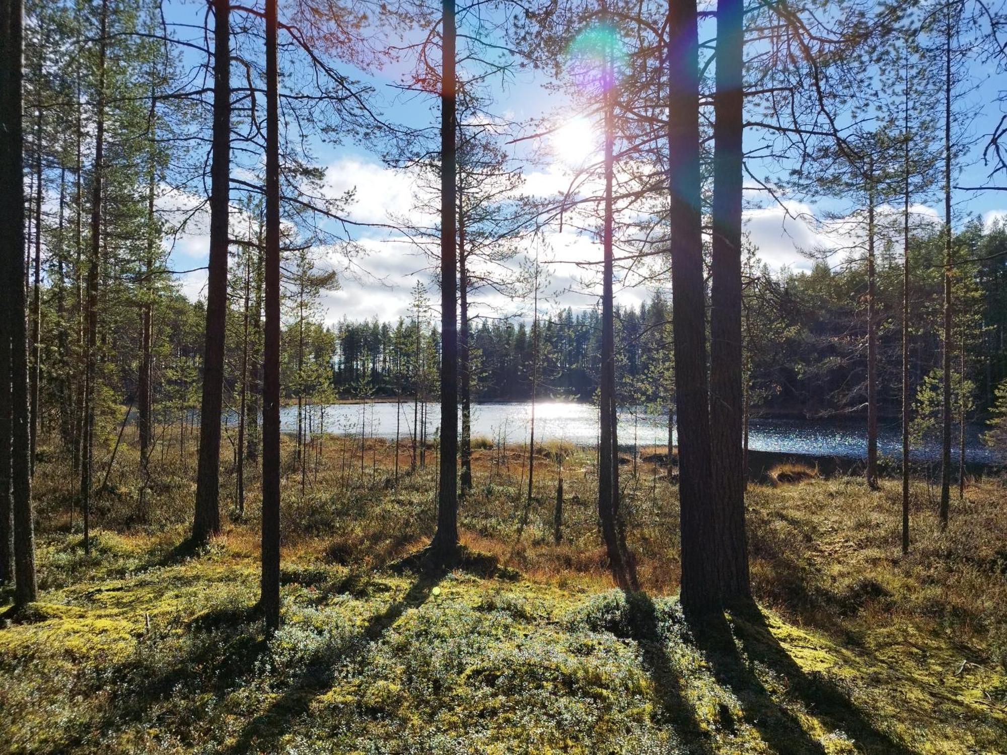 Vihreae Helmi Villa Kuusamo Luaran gambar